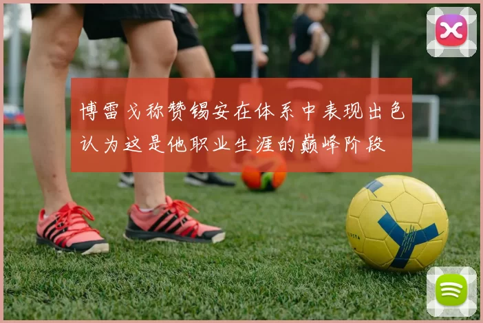 博雷戈称赞锡安在体系中表现出色认为这是他职业生涯的巅峰阶段